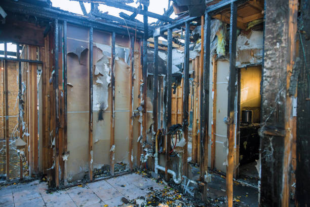Professional Soot Cleanup technician working in Elgin, TX